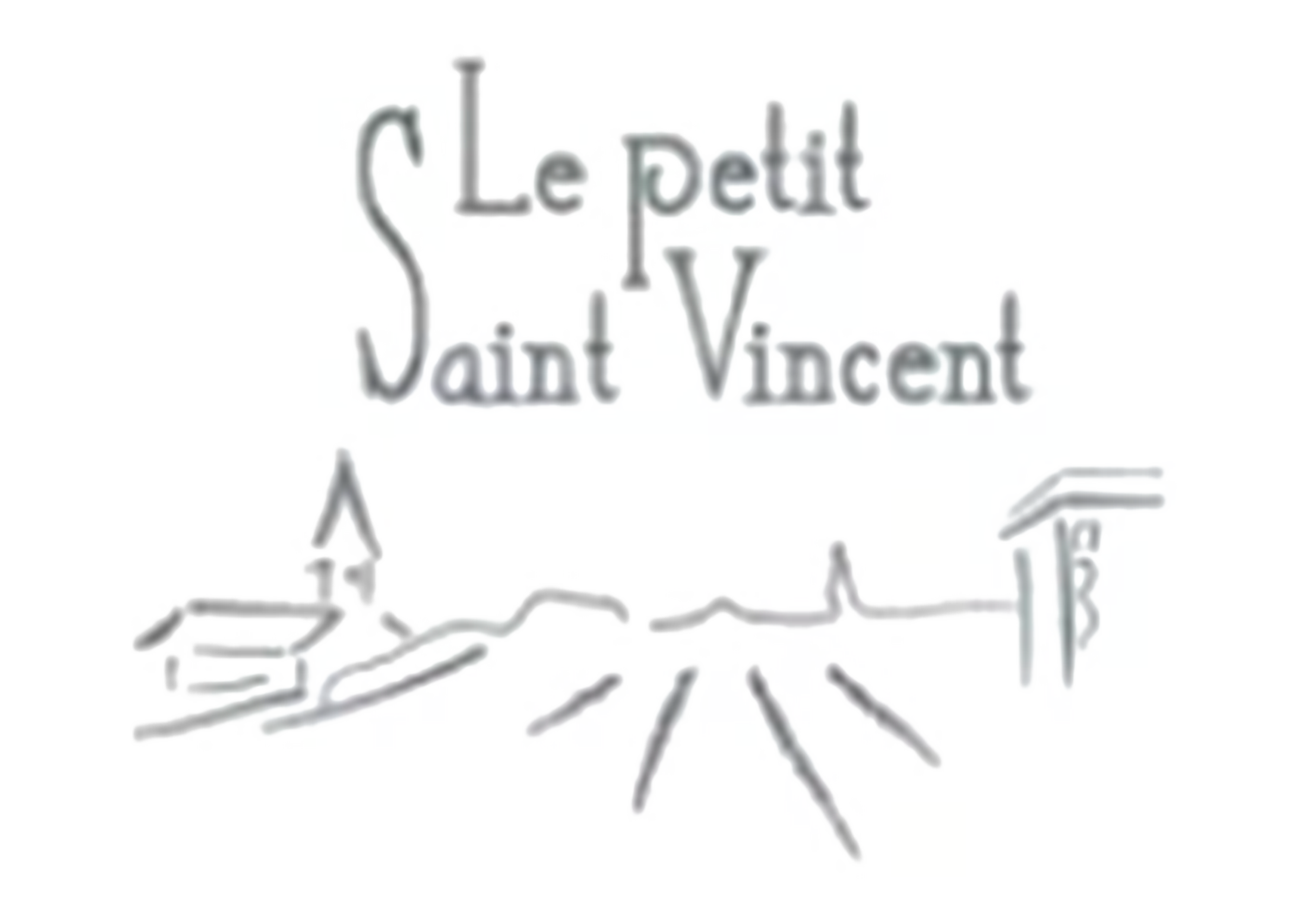 Logo Le petit saint vincent