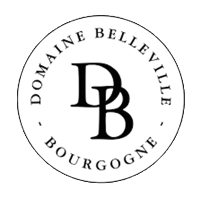 Logo Domaine belleville