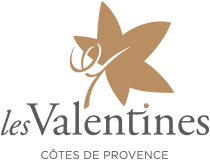 Logo Château les valentines