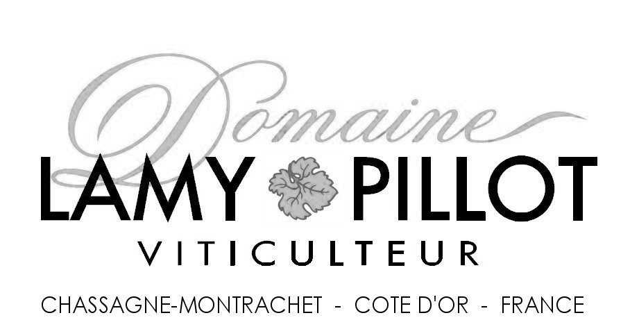 Logo Domaine lamy-pillot