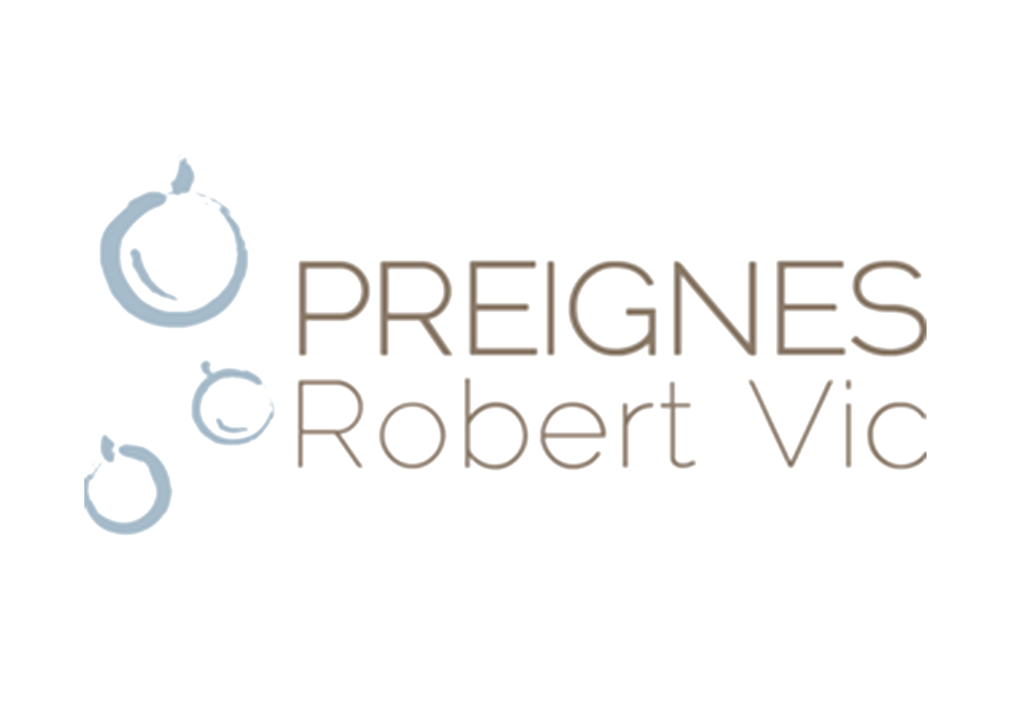 Logo Domaine preignes le vieux
