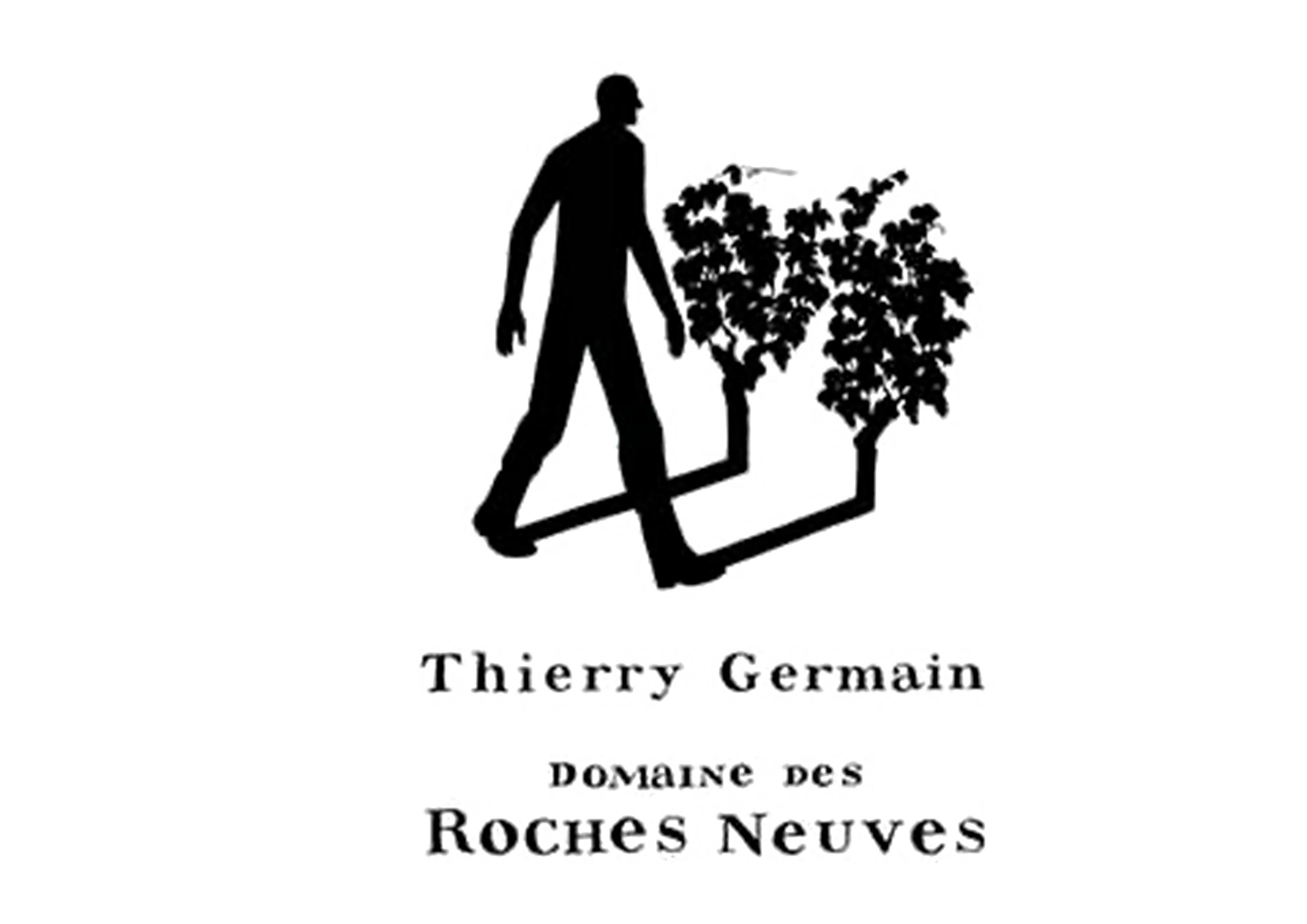 Logo Domaine des roches neuves