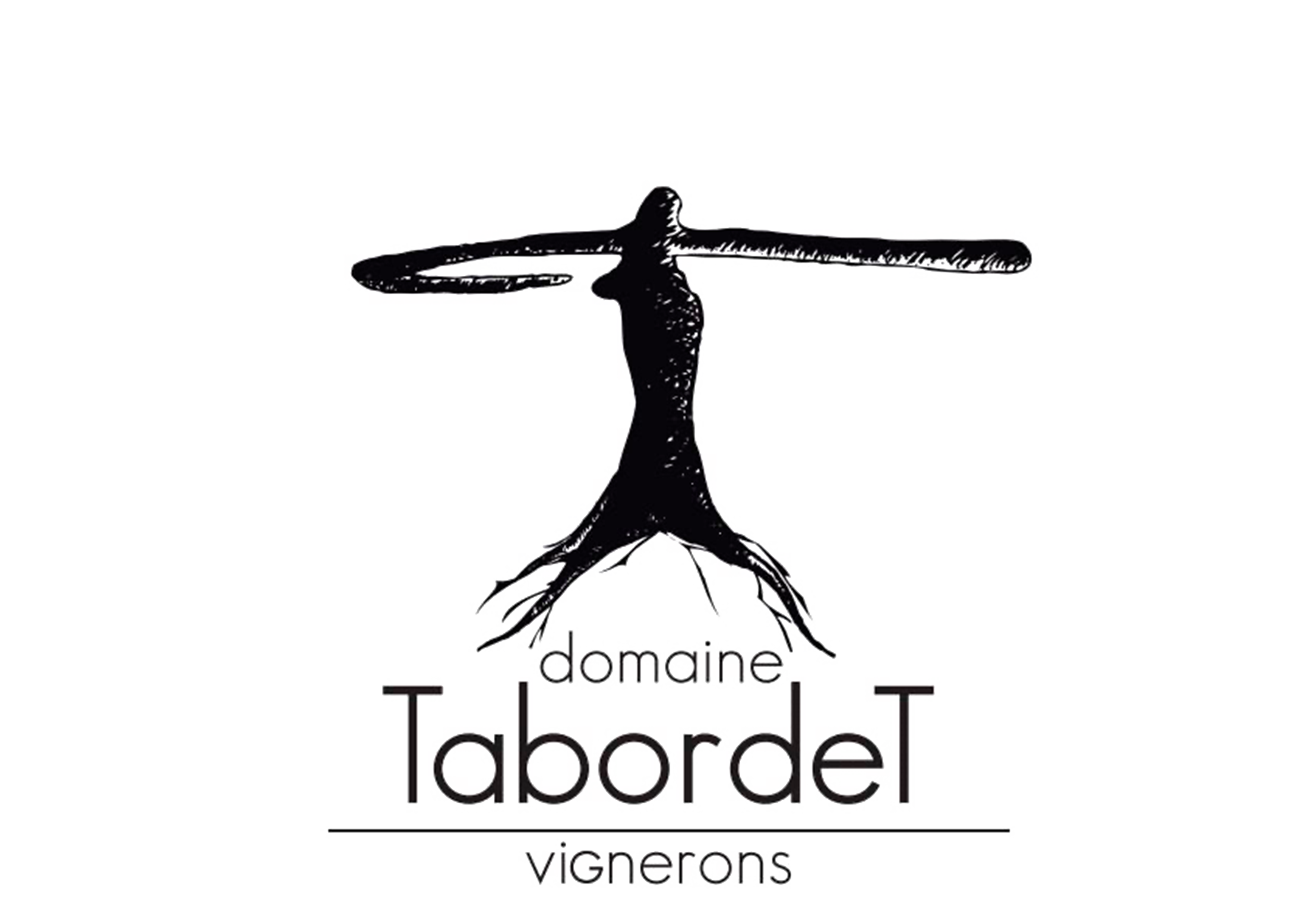 Logo Domaine tabordet