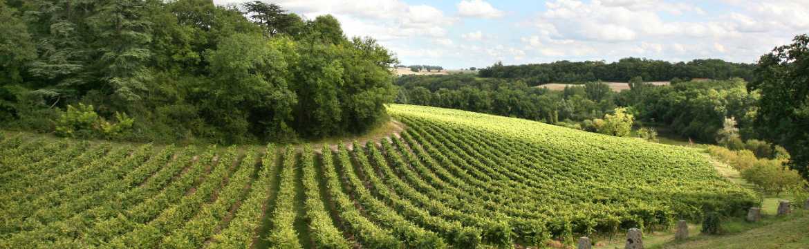 Baron Gaston Legrand