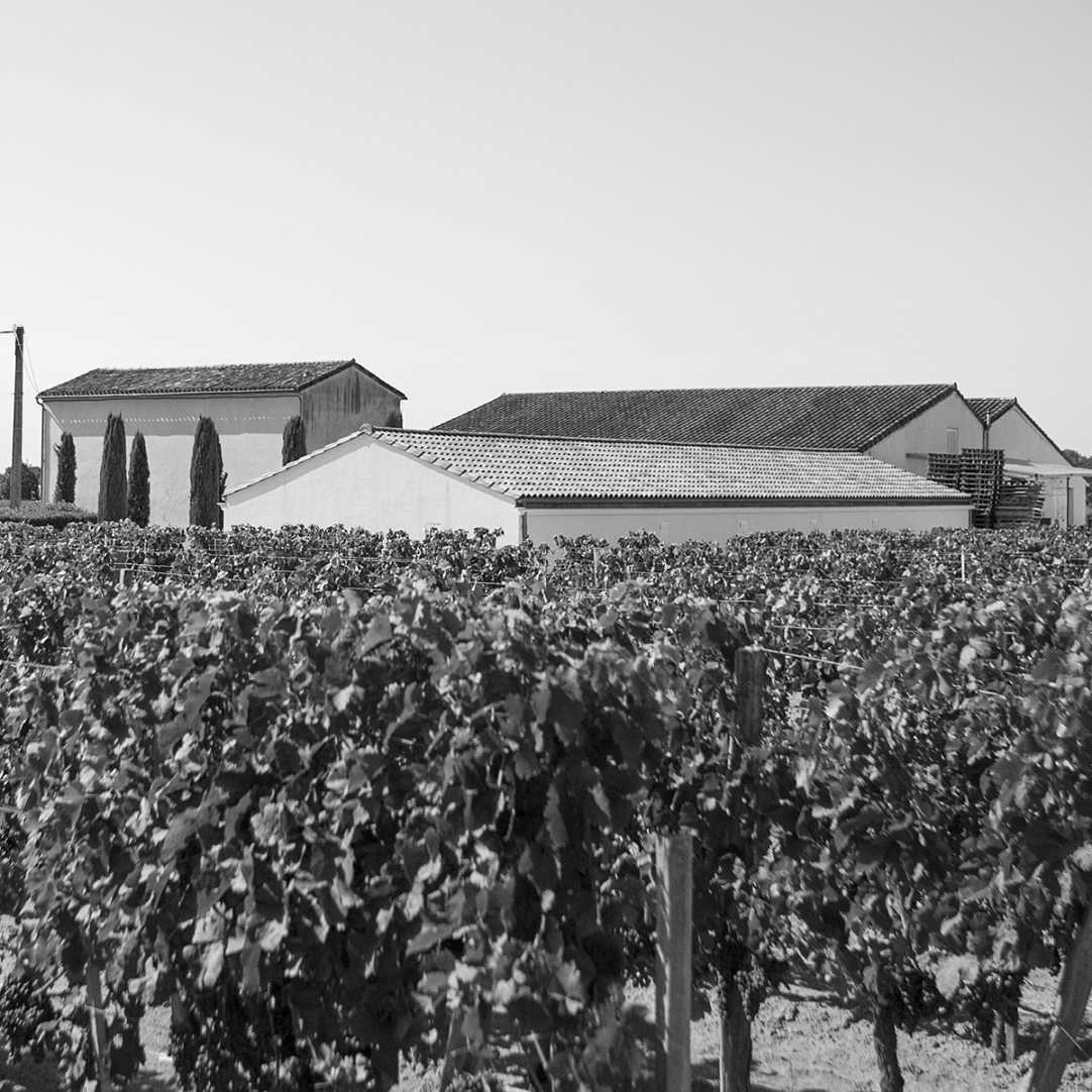 Chateau La Croix Du Casse