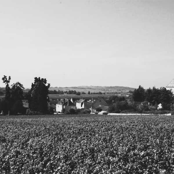 Domaine Belleville