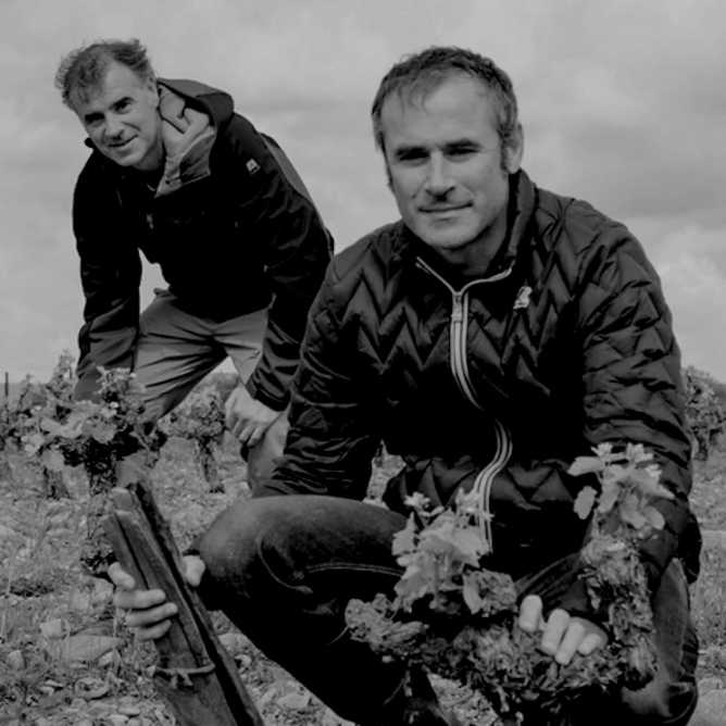 Domaine Bernatas