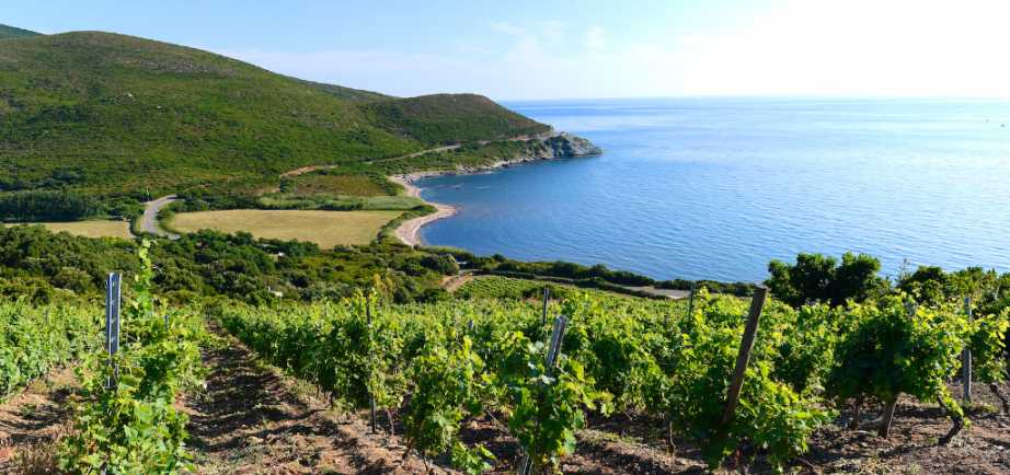 Domaine de Granajolo