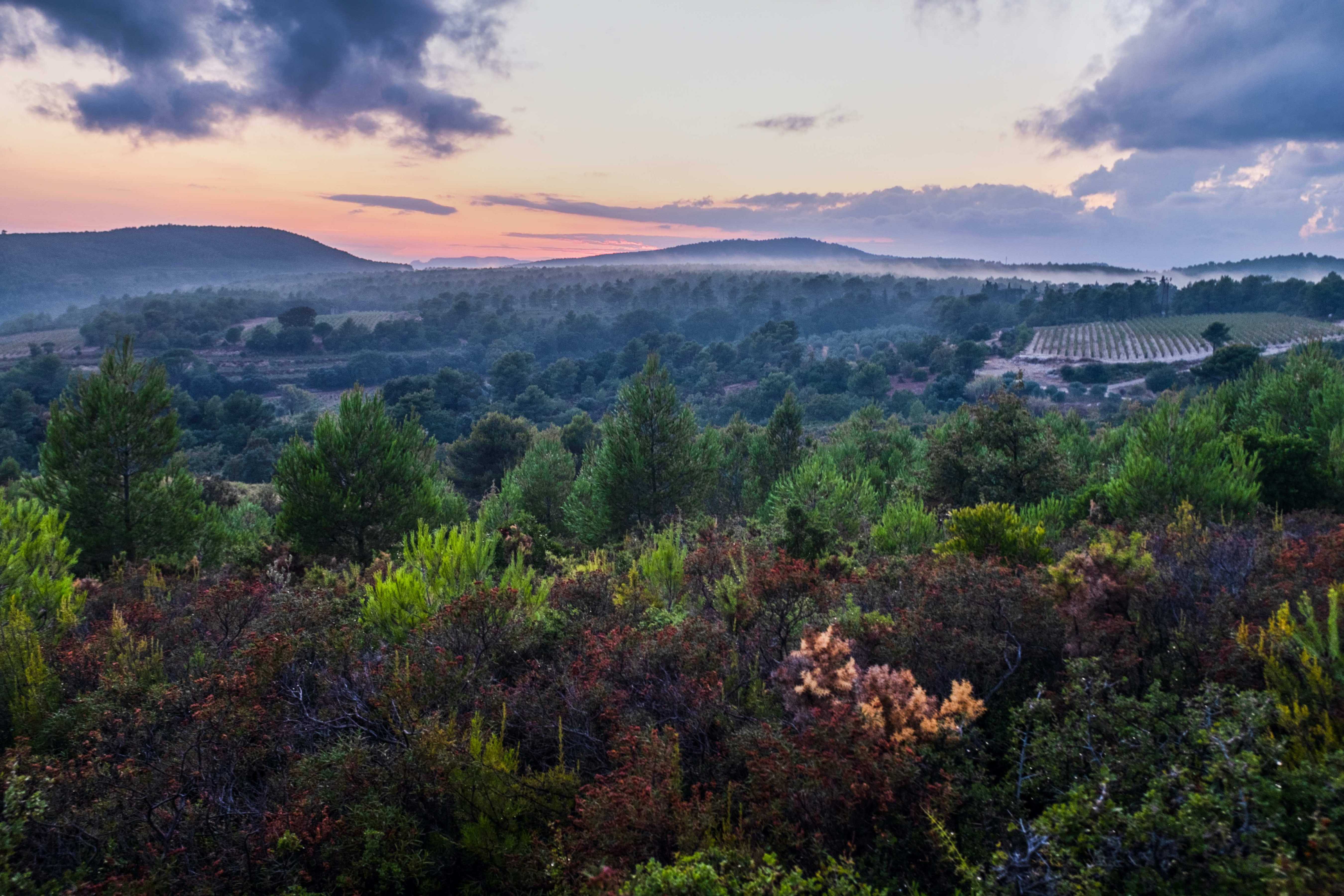 Domaine de la Bégude