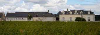 Domaine de la Cotelleraie