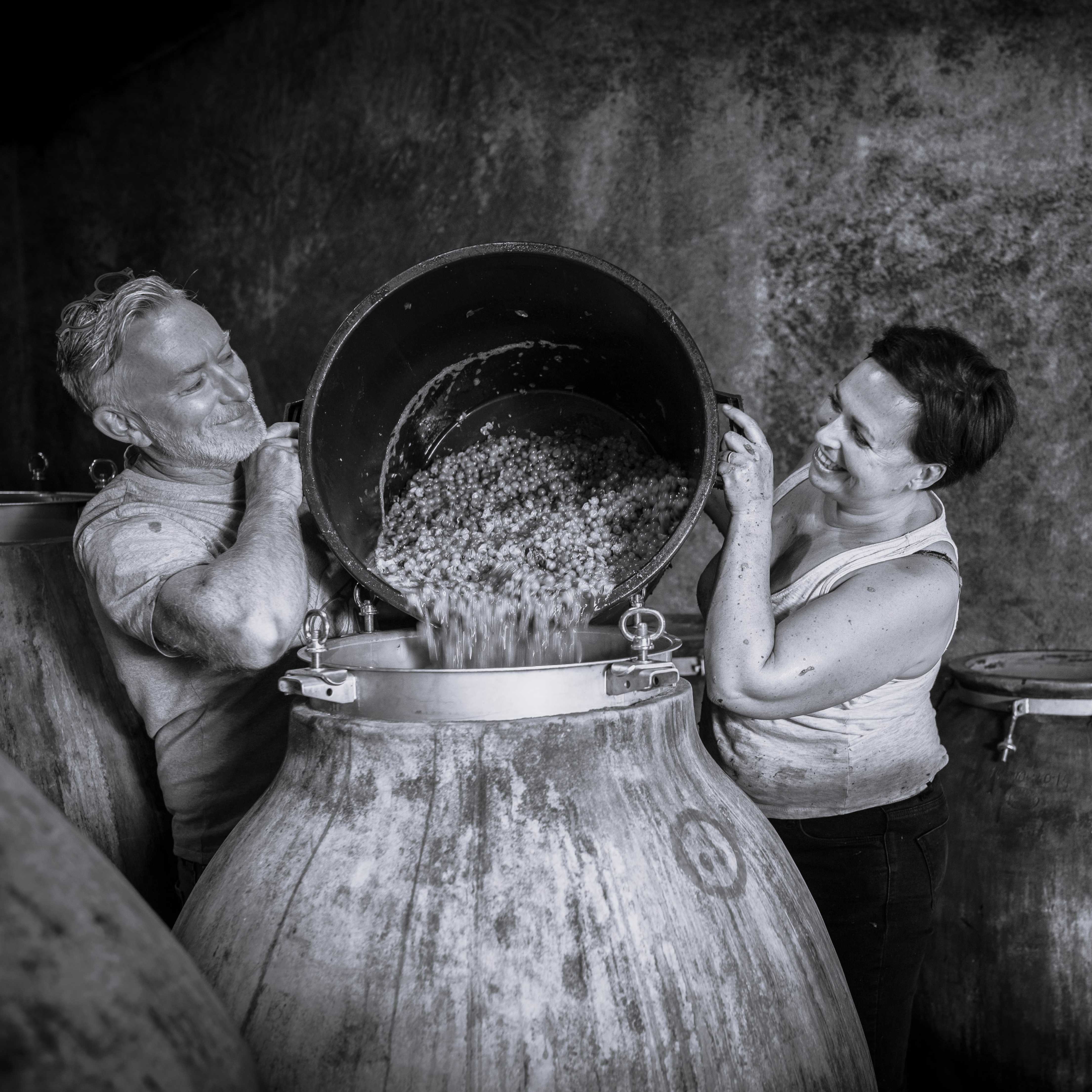 Domaine de l'Ecu