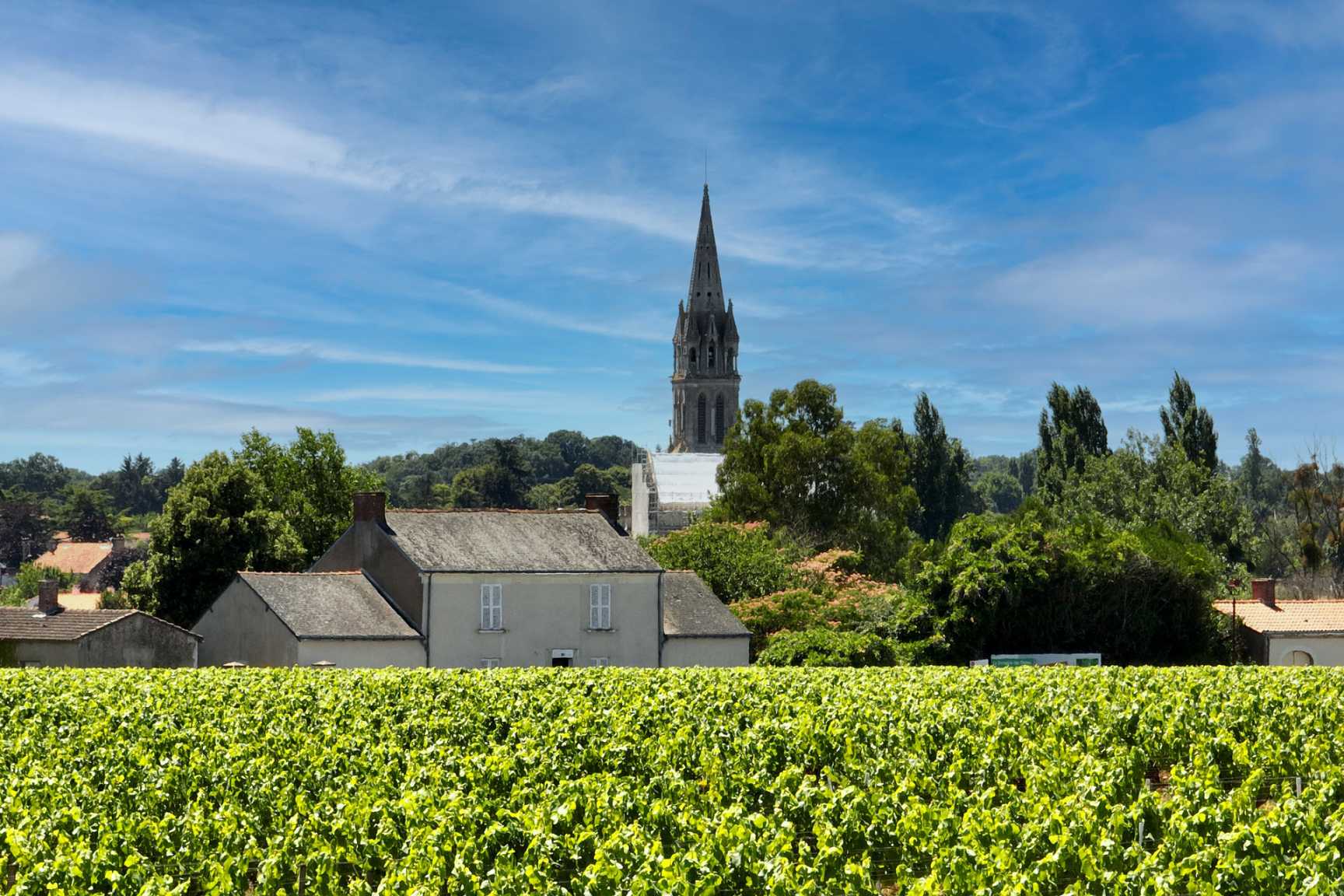 Domaine les Hautes Noelles