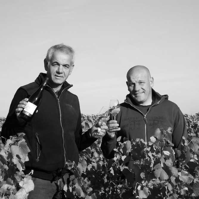 Domaine Les vignes Saint Vincent