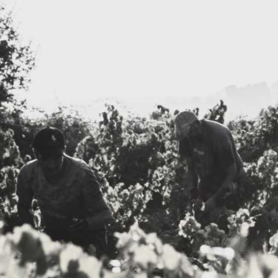 Domaine Usseglio Raymond & Fils