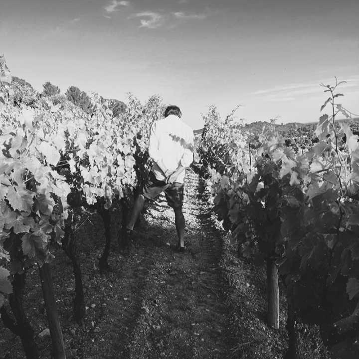 La Vigne de Mougins