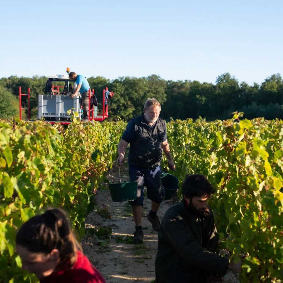 Le Rocher des Violettes