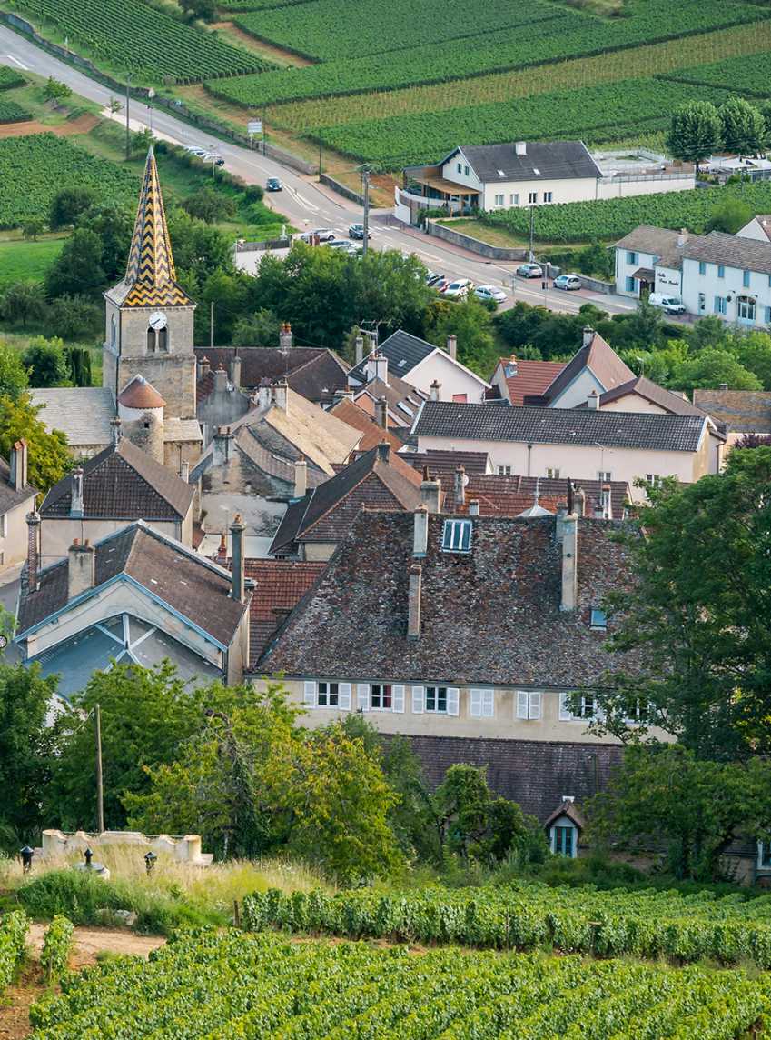 Les Parcellaires de Saulx